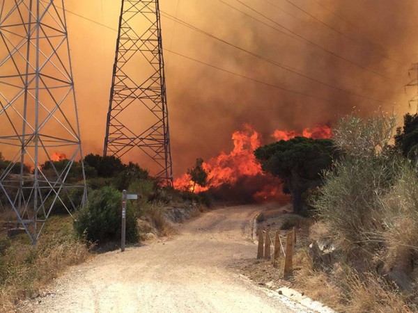 incendi a Collserola