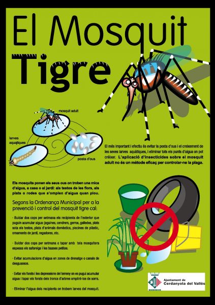 Cartell_mosquit_tigre