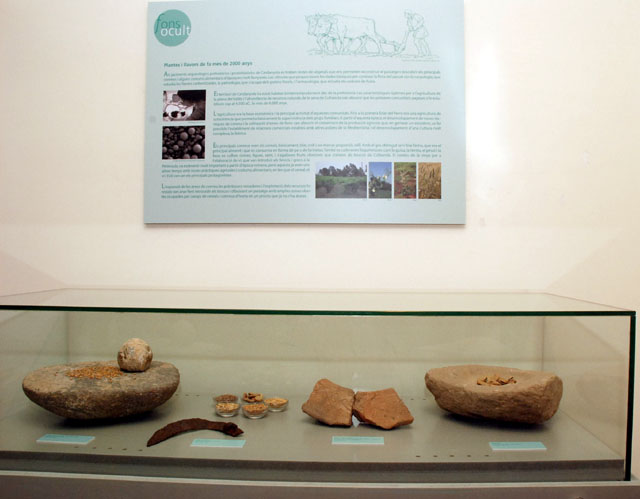 El Fons Ocult del Museu Ca n'Ortadó ens transporta al món de la pagesia de fa 2 mil anys