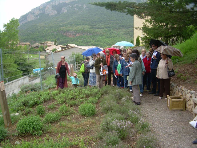 Tanca el programa Dones i medicina tradicional amb una bona participació