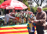 Sant Jordi tenyeix de flors i llibres els carrers de Cerdanyola