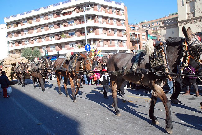 Una trentena de carros participaran a la Passada de Sant Antoni