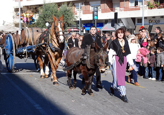 Sant Antoni a la ciutat del Sincrotró