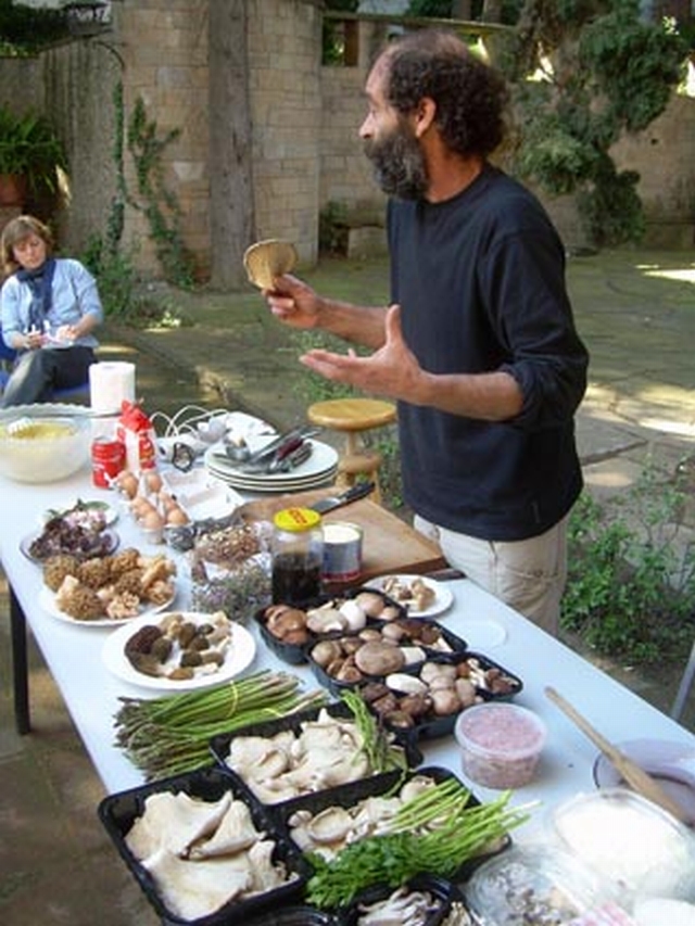 Bolets i herbes remeieres, lliçons d'història aplicada