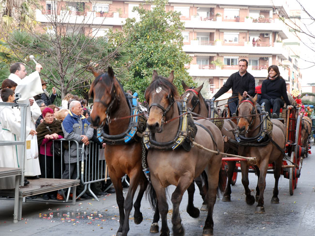 Cavalleries, carros i carruatges inunden Cerdanyola per Sant Antoni