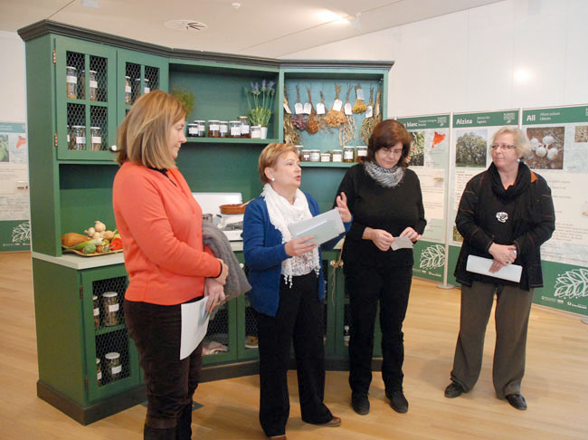 Les plantes medicinals, remeis del passat per guarir el present
