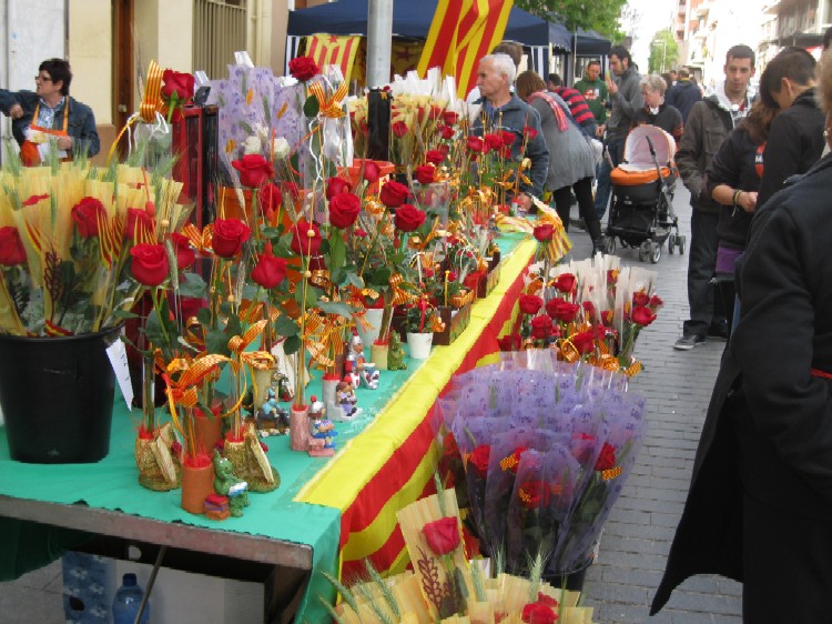 Cerdanyola llueix per Sant Jordi