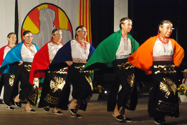 Les mostres de Dansa i Havaneres vencen la crisi de la mà del públic