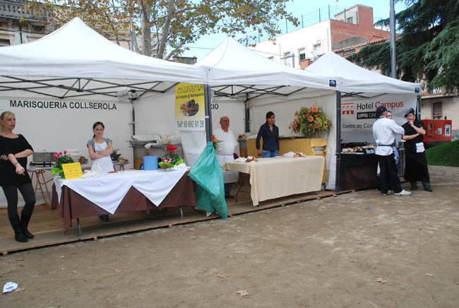 Sant Martí: la tardor pren color de festa