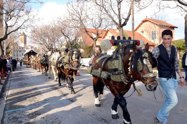 Sant Antoni Abat: una festa agrícola que atreu els cerdanyolencs
