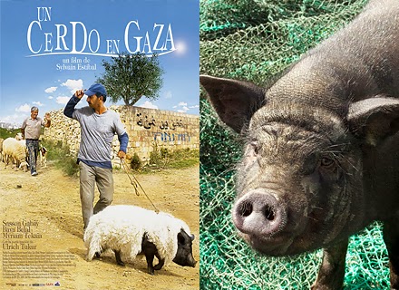 'Un cerdo en Gaza', la pel·lícula d'avui de Xiscnèfils