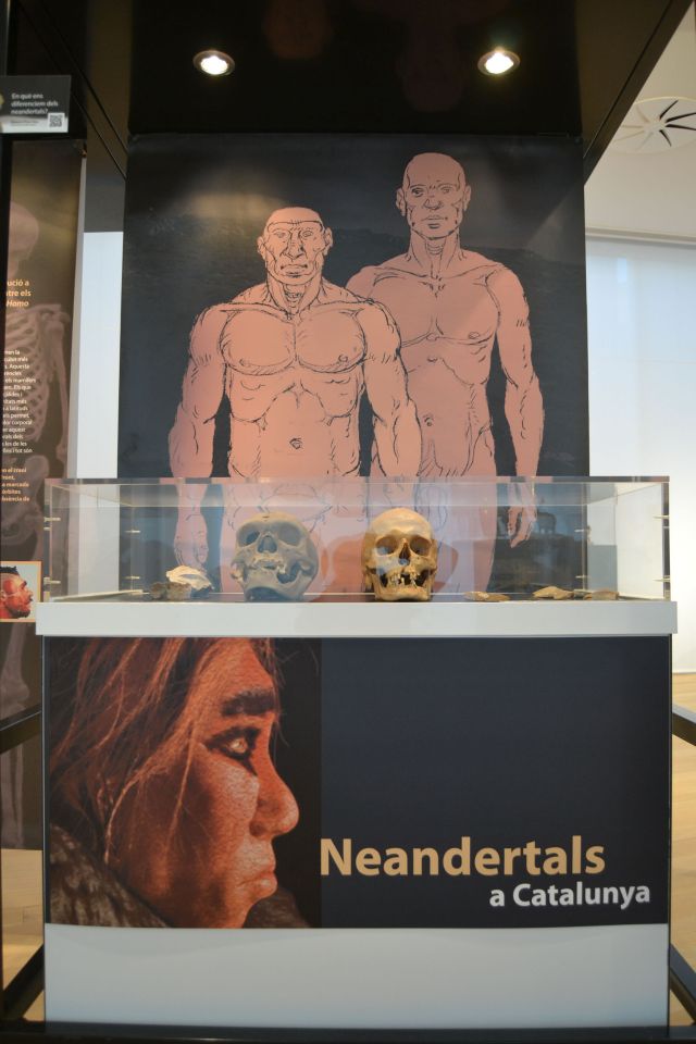 Xerrada per saber més dels neandertals