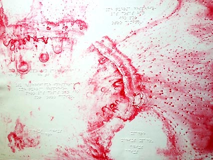 Art imperceptible a la nova mostra de l’espai arc del Museu d’Art de Cerdanyola