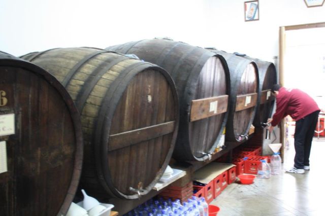 El cicle 'La vinya i el vi' proposa un recorregut per la història del celler de Can Costa