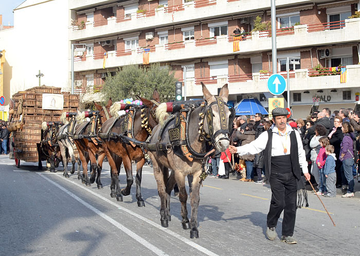 Recuperant tradicions al trot