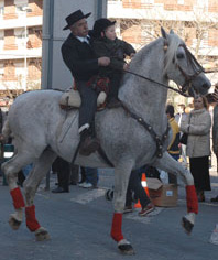 Un centenar de carros faran la passada d'Els Tres Tombs la setmana vinent