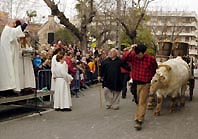 Els arriers de Sant Antoni Abat valoren positivament la passada del 2005