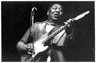 L'homenatge a Muddy Waters protagonitzarà el festival de blues 2002