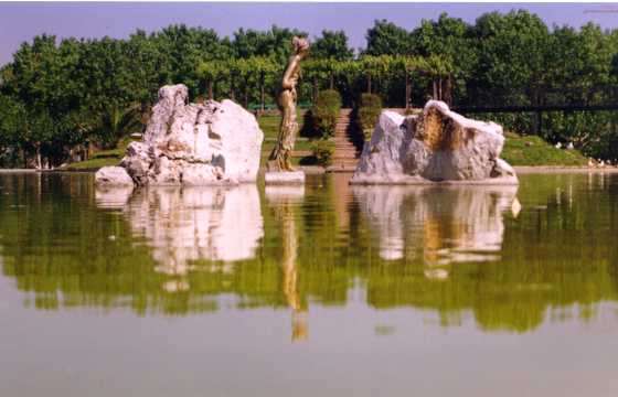 Sortida per conèixer el Parc de la Torreblanca