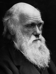 La UAB obre divendres el curs acadèmic dedicat a Darwin i l'Evolució
