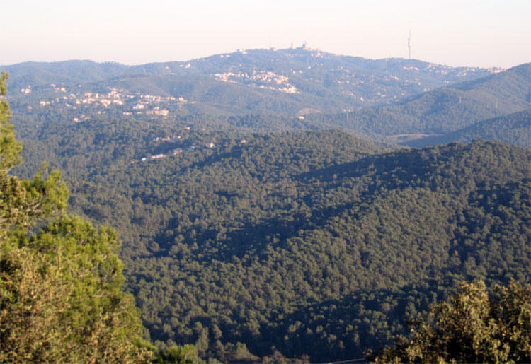 Avui s’activa el dispositiu de prevenció d’incendis forestals al Parc de Collserola