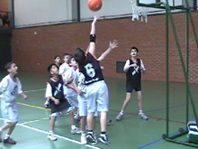 CB Ópalo i CB Femení organitzen la 2a Trobada de Minibàsquet Escolar