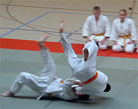 El Club Sport Arvi aconsegueix dos subcampionats de Catalunya de judo