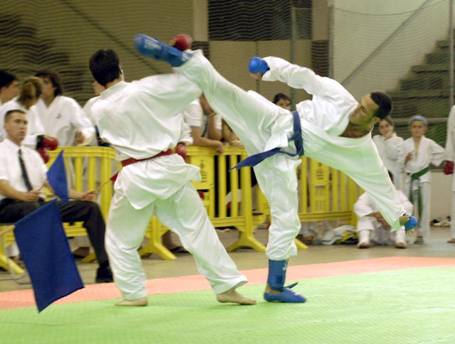 L’Sport Club Arvi aconsegueix nou podis en el VII Campionat de Catalunya de Karate