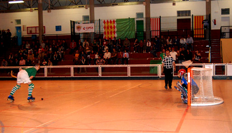 L’Epson Cerdanyola començarà la pretemporada 2007-08 el proper 6 d’agost