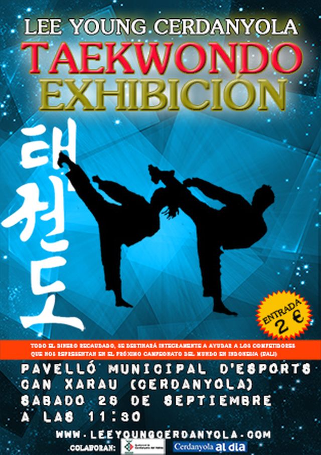  Exhibició de taekwondo del Gimnàs Lee Young 