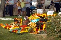 Programa de Commemoració de la Diada