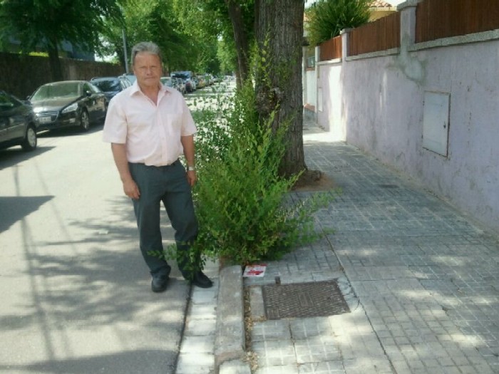 El PP denuncia deixadesa al barri de Serragalliners