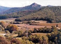 Iniciativa sosté la necessitat d'explotar naturalment l'entorn de Collserola