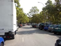 ERC reclama que es respectin els arbres al fer l'aparcament del Passeig del Pont