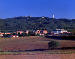 Fecsa Endesa actua per evitar focs a Collserola