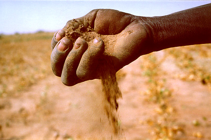 La UAB podria acollir l'Observatori Europeu de la Sequera i la Desertificació