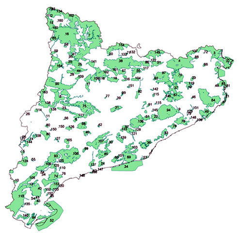 L'ampliació de la protecció a Collserola podria anul.lar la construcció del túnel d'Horta