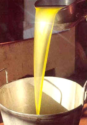 La UAB fomentarà la recerca sobre les propietats de l’oli d’oliva en la salut