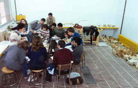 La Facultat de Veterinària de la UAB farà demà 25 anys