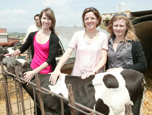 Neix l'Autònoma, primera vedella in vitro de Catalunya