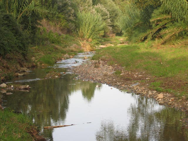 La riera de Sant Cugat es netejarà d´espècies invasores com a primer pas de l´ampliació del parc fluvial
