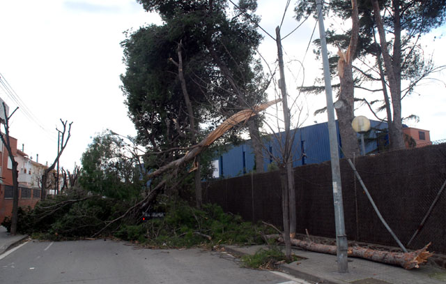 El vent causa dos ferits a Cerdanyola i nombroses destrosses