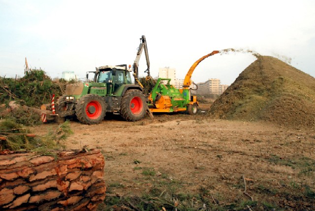 L’Ajuntament recicla les restes vegetals ocasionades pel temporal de vent del passat mes de gener