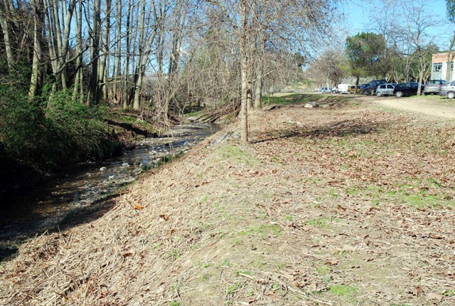 El Parc de la Riera recupera la vegetació autòctona