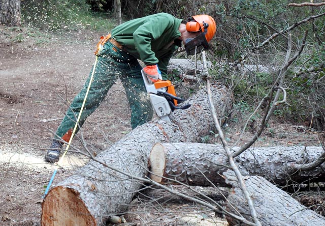 La campanya de neteja de boscos no inclou Cerdanyola com a zona d’actuació prioritària