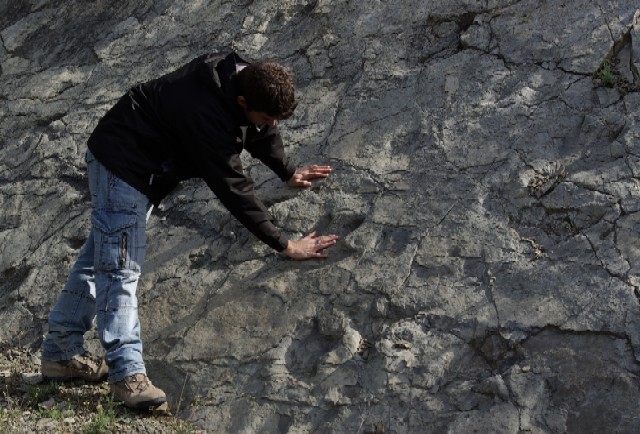 Científics de l’Autònoma estudien els dinosaures amb tecnologia innovadora