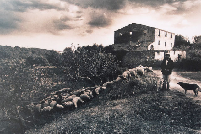 L'Ateneu acull l'exposició del 5è concurs fotogràfic del Vallès Natural