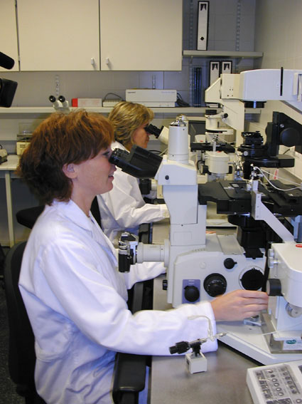 Un informe situa la UAB com segona universitat espanyola en productivitat científica