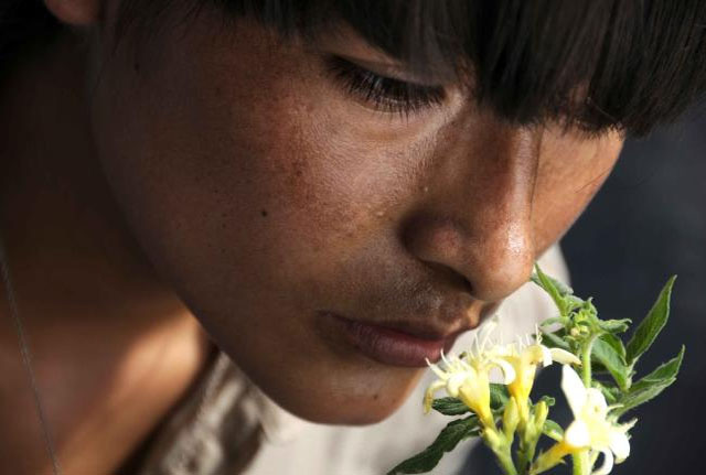 'La teta asustada' obre avui les activitats del Dia contra la Violència vers les Dones