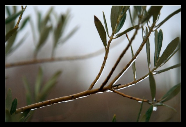 Cerdanyola viu un fenomen de pluja gelant